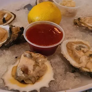 Raw oysters