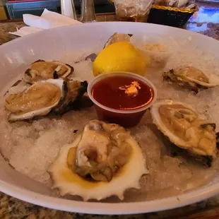 Oysters