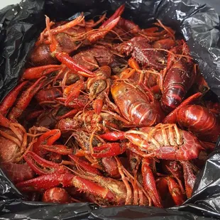 Best crawfish around!