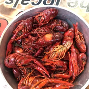 Crawfish!