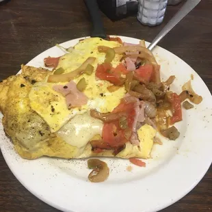 My partially eaten omelette. It did lop over both sides when served!  Note the grilled onions!