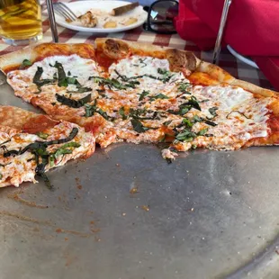 Margherita Pizza