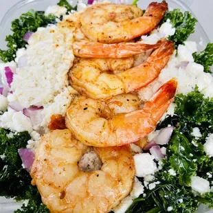 shrimp and rice in a plastic container