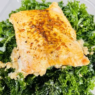 a meal in a plastic container