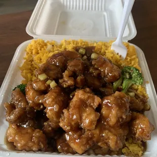 General Tso&apos;s Chicken Special with Fried Rice