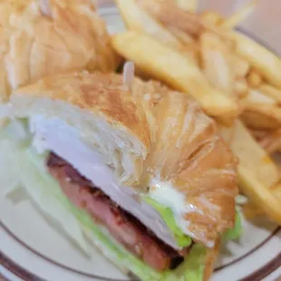 a sandwich and french fries