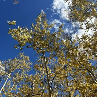 Kenosha Pass