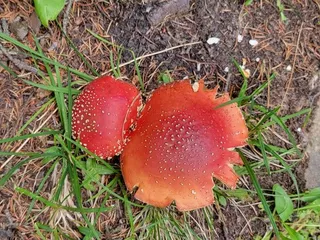 Herman Gulch Trail Head