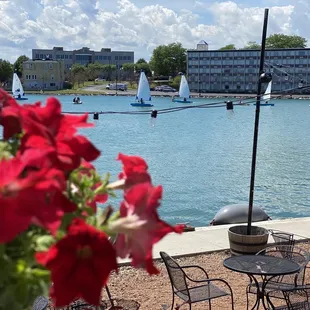 The view is amazing the service is outstanding and the food yummy!!