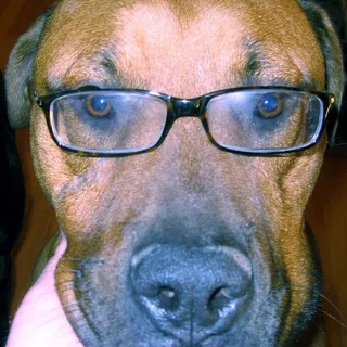 Professor Higgins P.