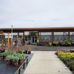 Main shop at the Kent East Hill Nursery Center