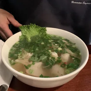 Wonton Soup