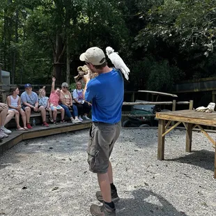 Animal show