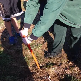 Planting seedling around the stream for the annual event, Reforest the Bluegrass.