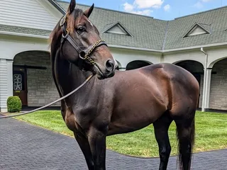 Spendthrift Farm