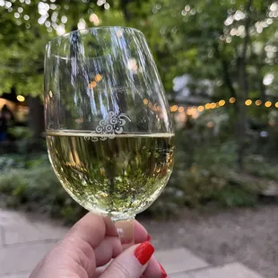 a hand holding a glass of white wine