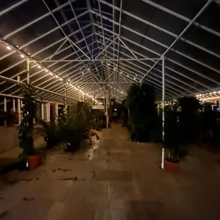 Walking through Michlers Greenhouse to get to the restaurant