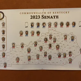 Legislative Branch: Senate