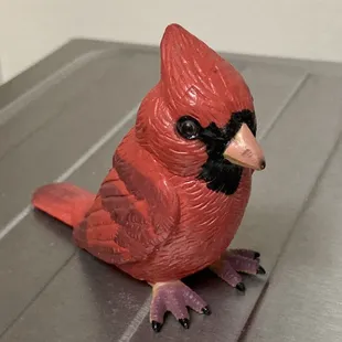 This Northern Cardinal flew into my kitchen! (Haha) Ky. State Bird Posted with review 02/27/23