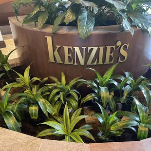 a large planter with plants in it