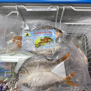 a variety of fish in plastic bags
