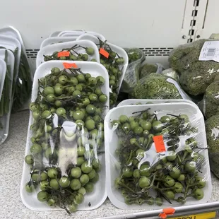 Pea eggplant