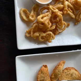 Crispy Calamari Beef Samosa