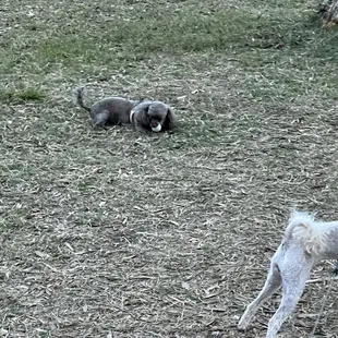 Play time before the sun goes down!