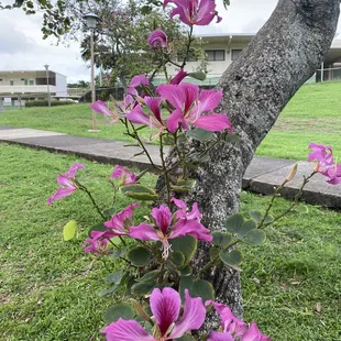 A beautiful December day to play!
