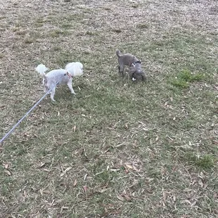 My girls love this park!