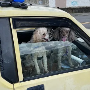 Play time with my girls!