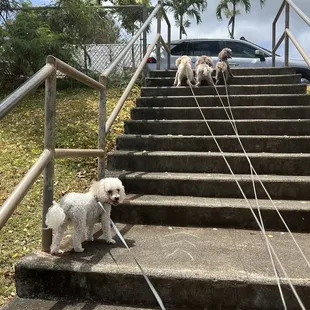 Play time with my girls!