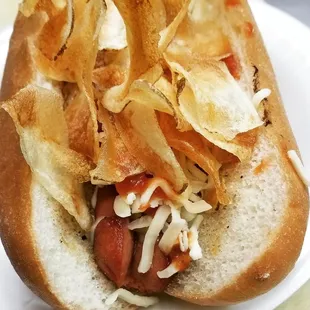 Gourmet hot dog.