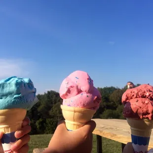 Dinosaur Crunch, Cotton Candy, Midnight Snack.