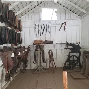 Horse paraphernalia