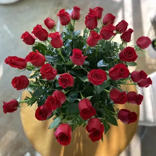 Roses are red