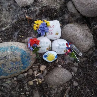 Found this next to the river near our campsite, not sure what that's about.