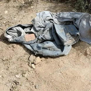Someone was cycling so fast their pants completely flew off!