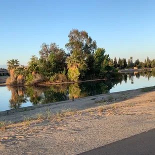 Island in lake 1 of parkway