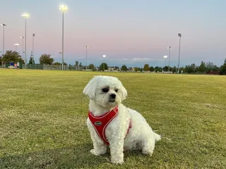 Polo Community Park