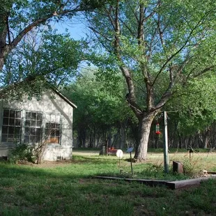 You'll see a lot bird feeders at the cluster of buildings