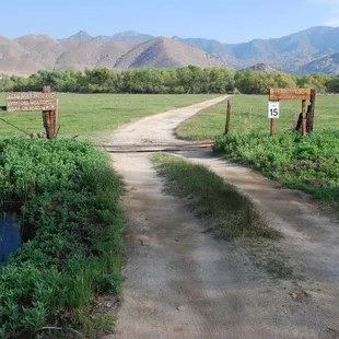 Take this short dirt road to the visitor's center beyond the trees