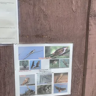 Some wildlife postings on the trailhead board
