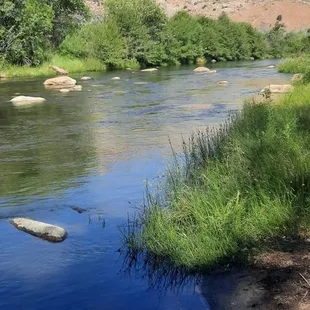 This is a beach area for the campground that is right on the Kern River!