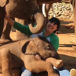 A day at an elephant sanctuary in Thailand