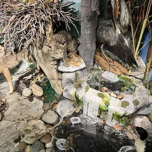 Indoor exhibit made by the volunteers