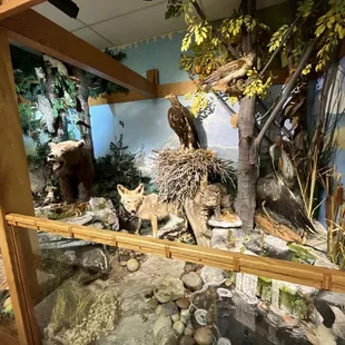 Indoor exhibit made by the volunteers