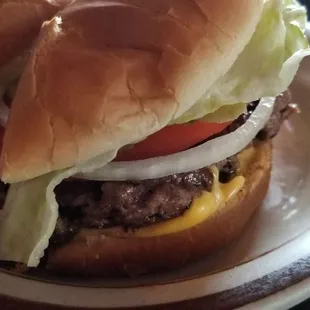 Burger fully dressed