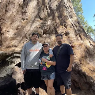 "Trail of 100 Giants." Sequoia National Forest