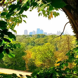 View of downtown